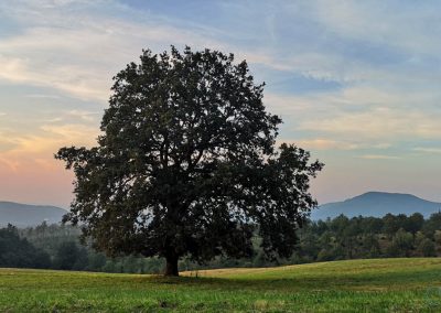 poggio-nibbio