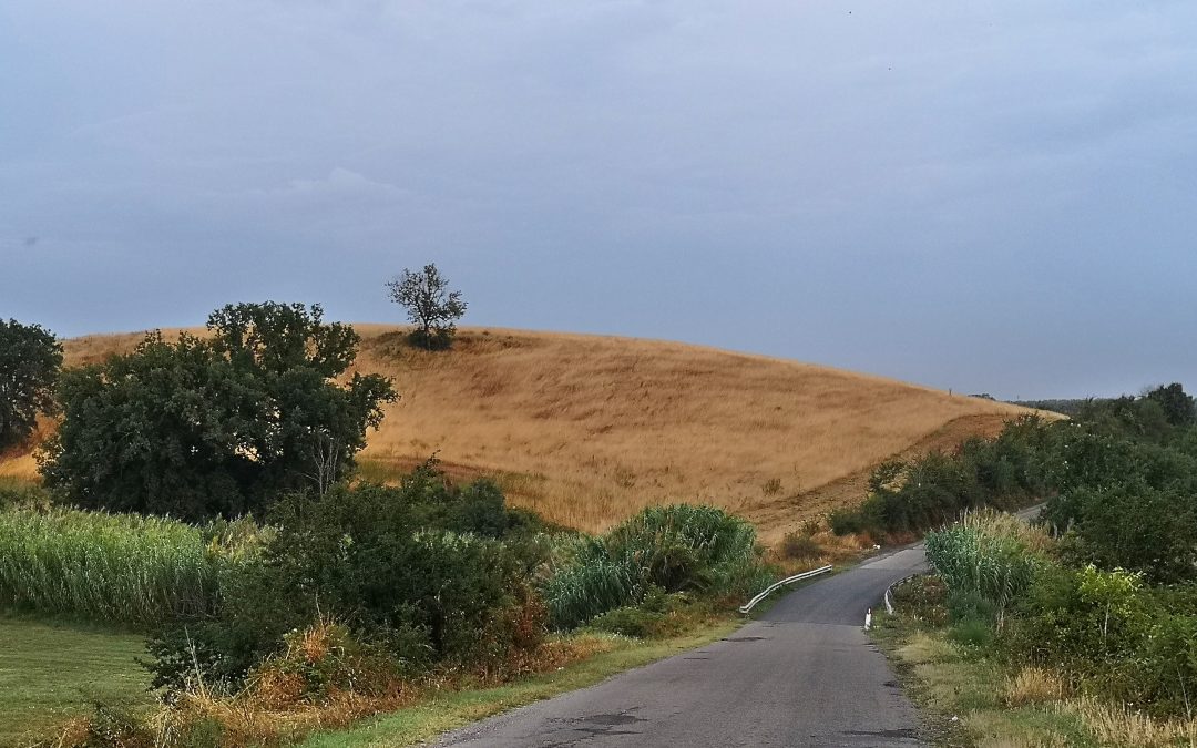 Paesaggio Termale