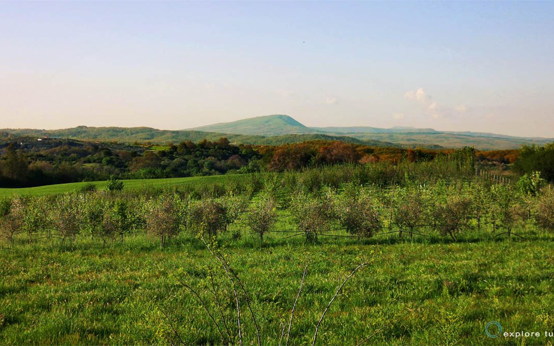 Monte Fogliano: due vulcani si guardano
