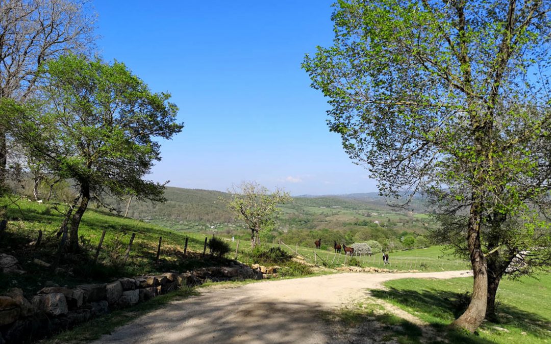 In Campagna