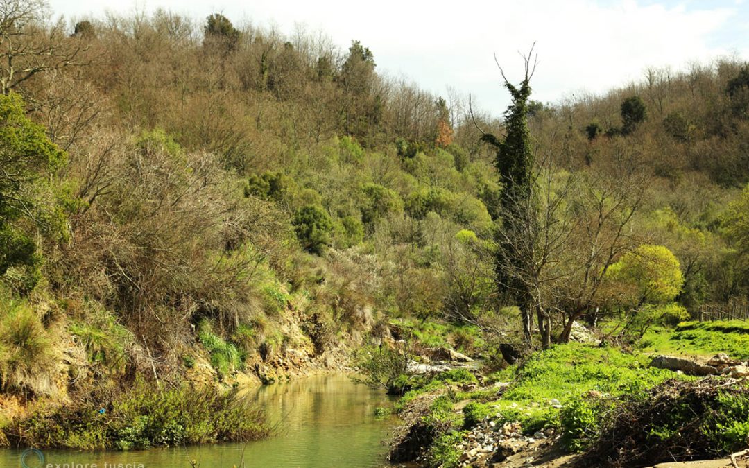 Il Ferrone – Viaggio nella Natura