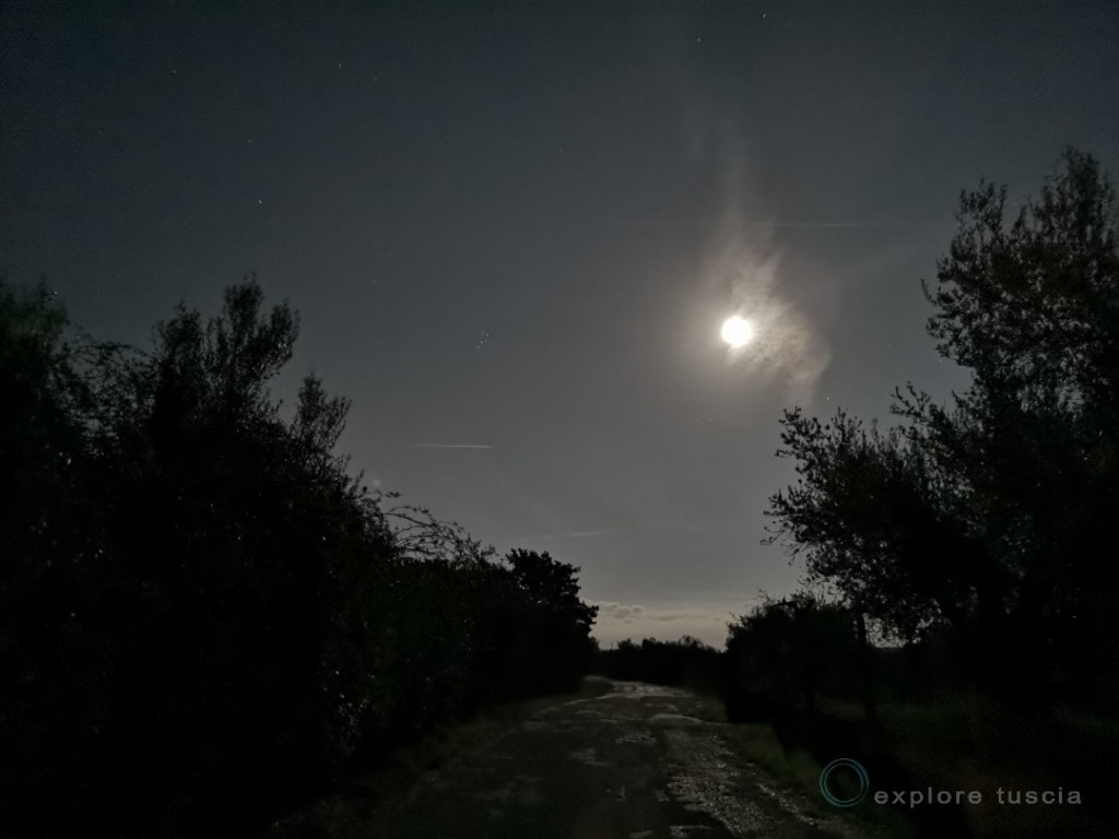 Chiaro di Luna