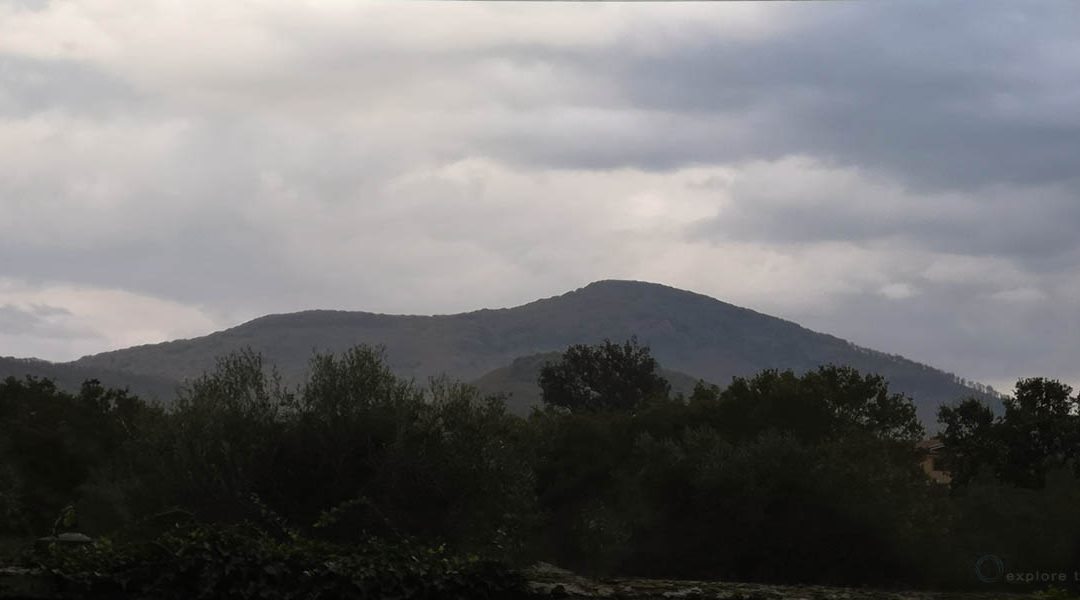 Il Monte Cimino e la Faggeta