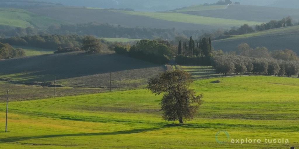 So Tuscia! Per il Piacere.