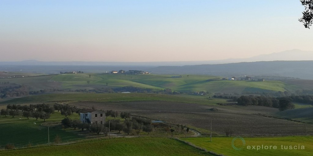 Tuscia