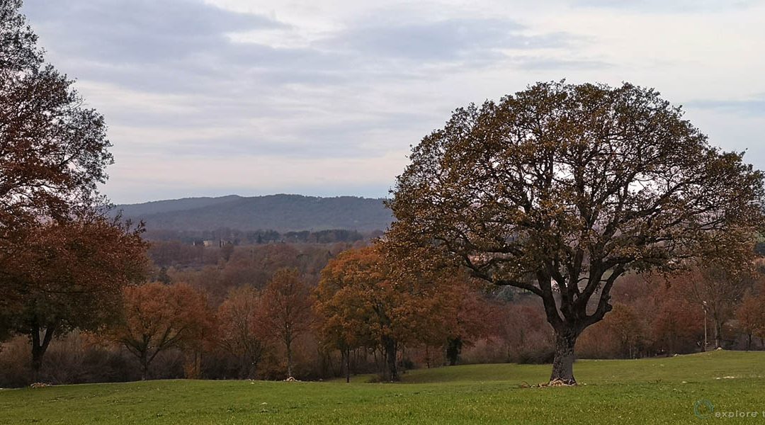 Paesaggio Antico