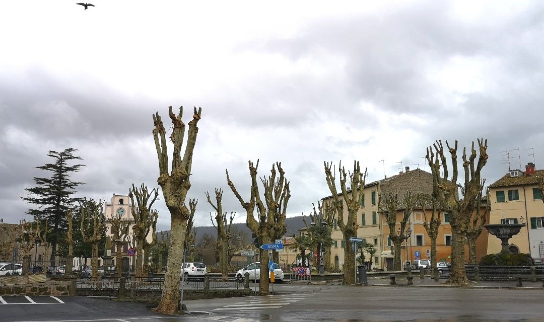 Verde Urbano – Vejano