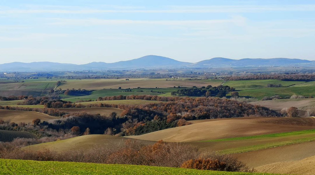 Sostituiamo Questa Campagna Che Non Posso Vedere!