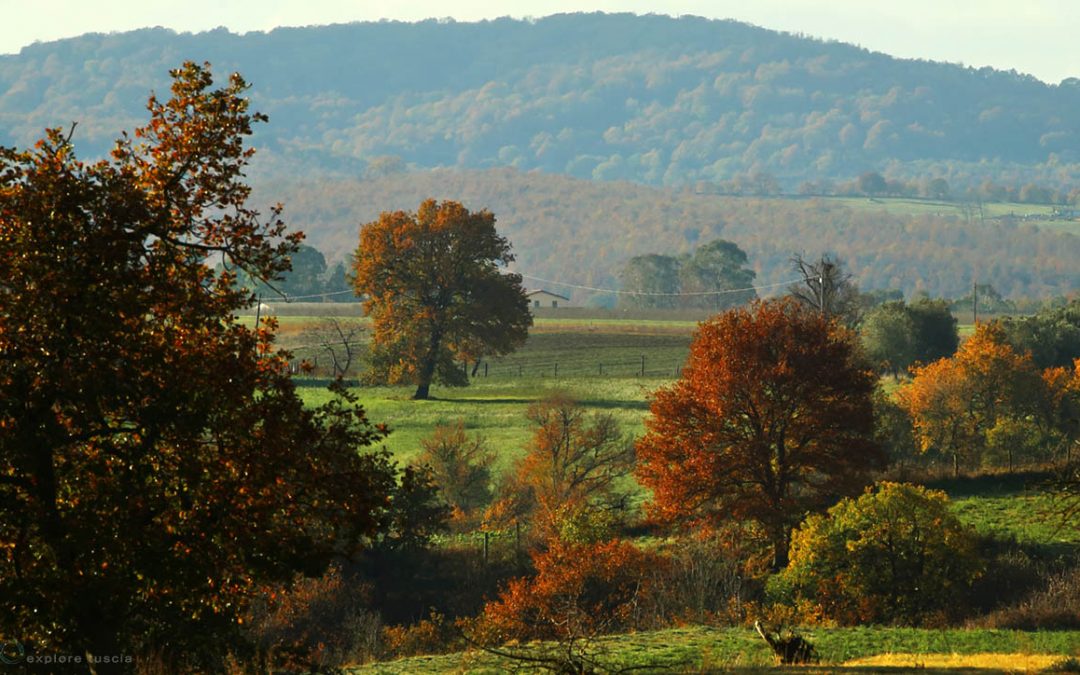 In campagna – resti