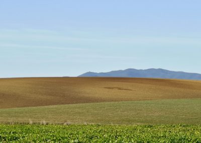 Formicone verso Toscana