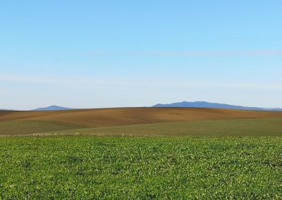 Formicone verso Toscana