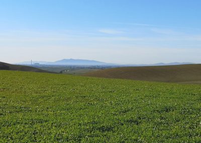 Formicone Monte Argentario