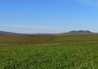 Formicone Monte Canino e Toscana