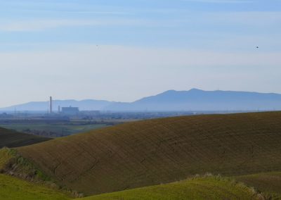 Formicone verso Montalto