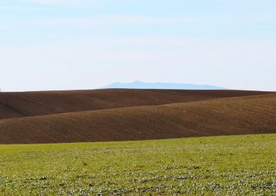 Formicone Tuscania verso Toscana