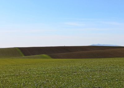 Formicone Tuscania verso Toscana