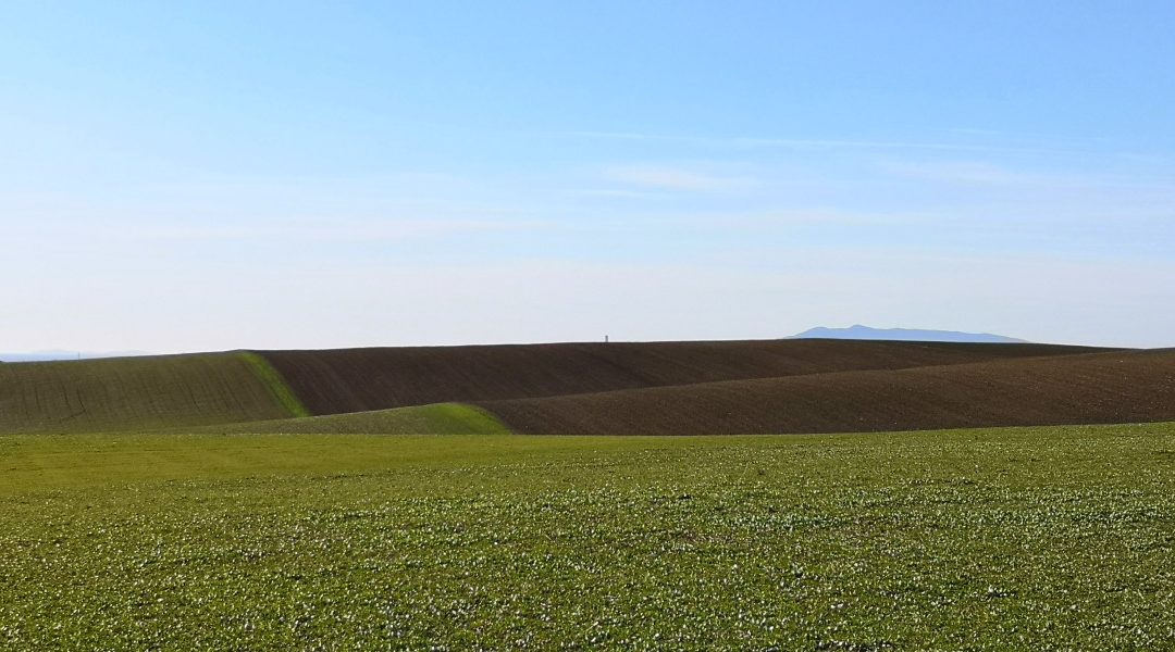 Che Bella! Il Formicone – Tuscania