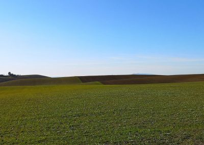 Formicone Tuscania verso Toscana