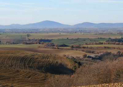 Formicone Tuscania verso Toscana