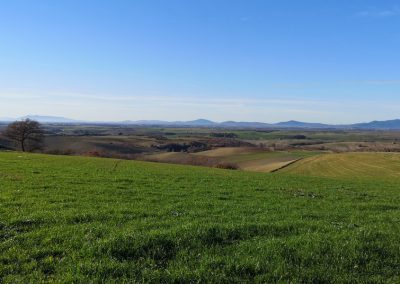 Formicone Tuscania verso Toscana