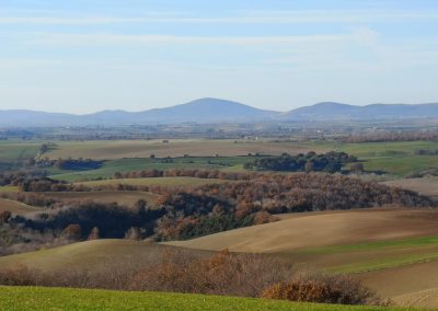 Formicone Tuscania verso Toscana