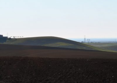 Formicone Tuscania verso mare