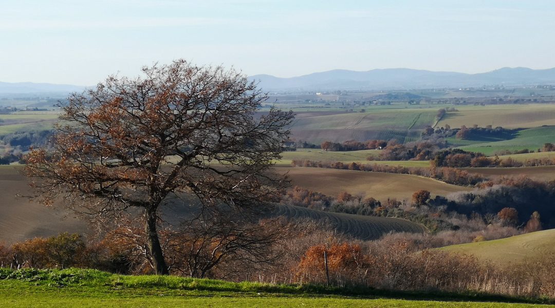 A Nord della SP4 nel comune di Tuscania: Dal Formicone a Pian di Vico