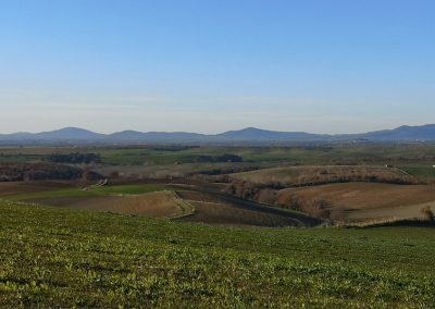 Formicone Tuscania verso Toscana