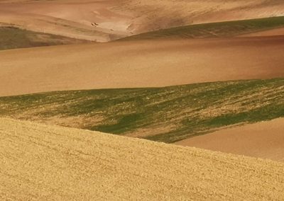 La Fabbichetta - Tuscania