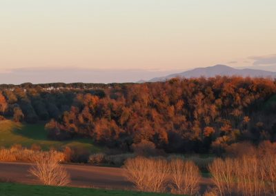 Monte Cimino da San Giuliano - Pian di Vico
