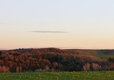 Campagna tra San Giuliano e Pian di Vico