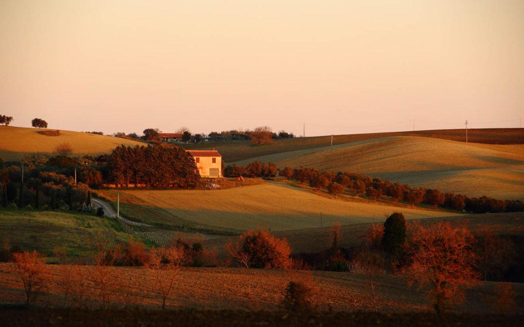 San Giuliano – Tuscania. Spazio Onirico.