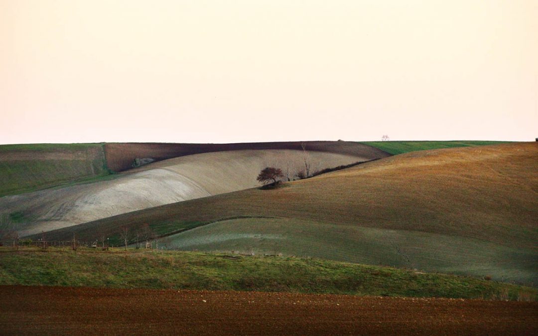 Tra Tuscania, San Giuliano e il Formicone