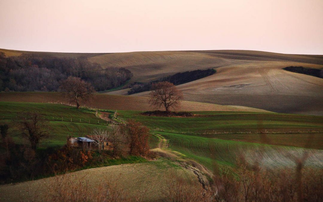 Viaggio nella Zona “Sacrificabile”