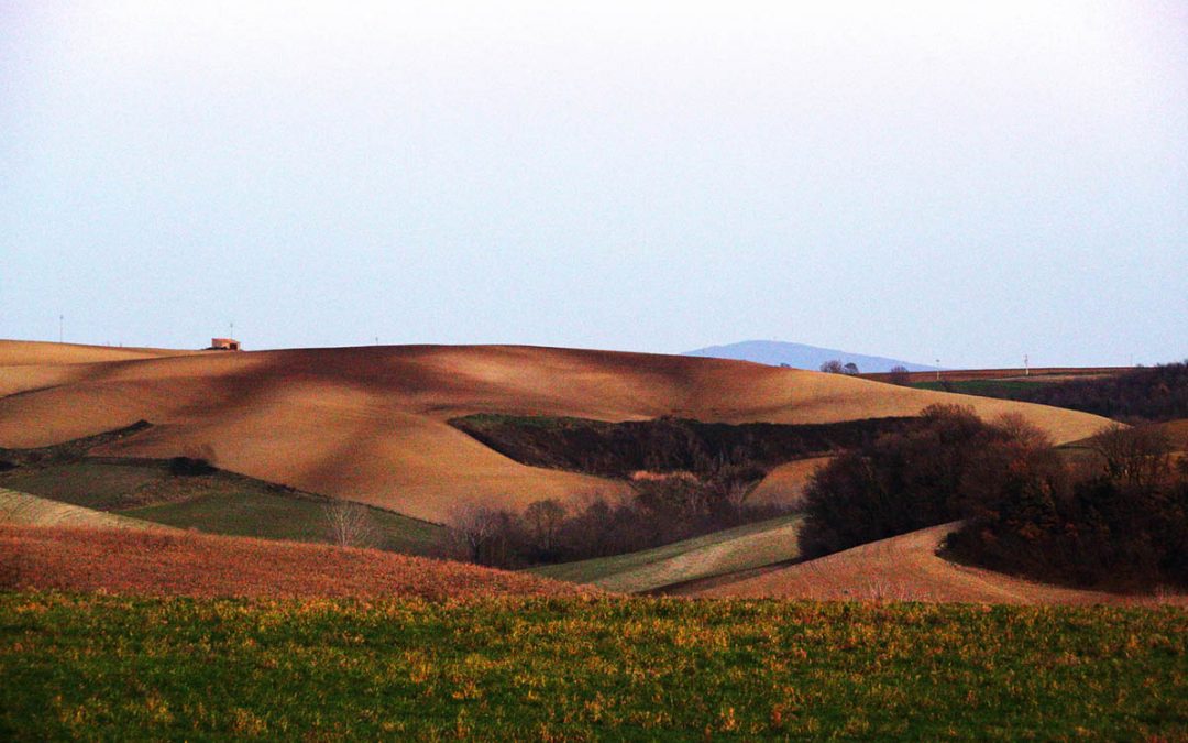 Pian di vico – Crepuscolo.