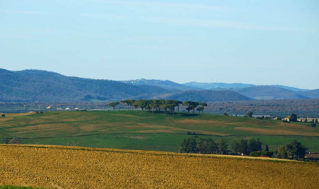 La Maremma Laziale tra San Giuliano e Montalto