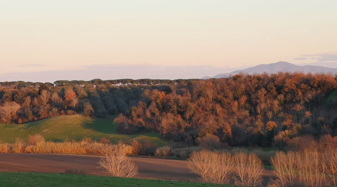 Pian di Vico – 250 ha di fotovoltaico a terra
