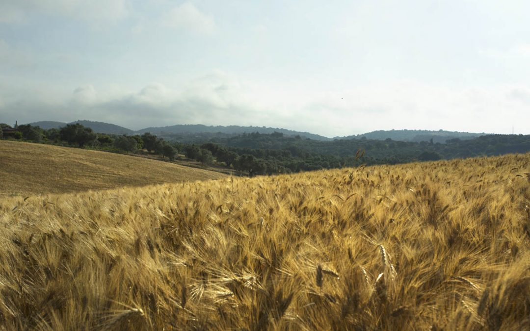 Pian di Vico – Magic!