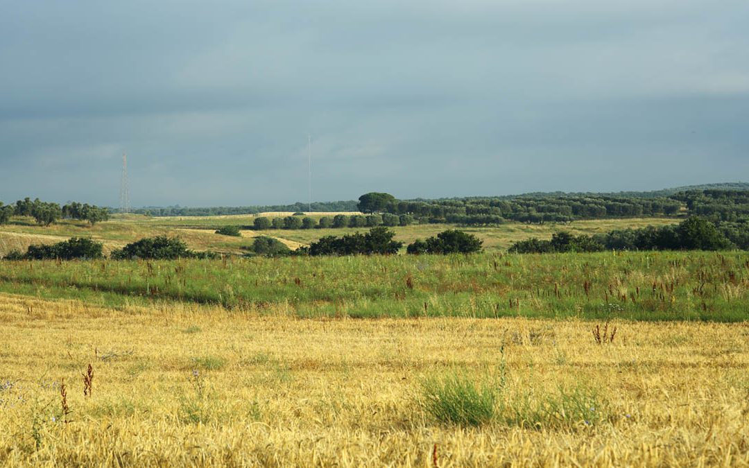 Da Tuscania ad Arlena