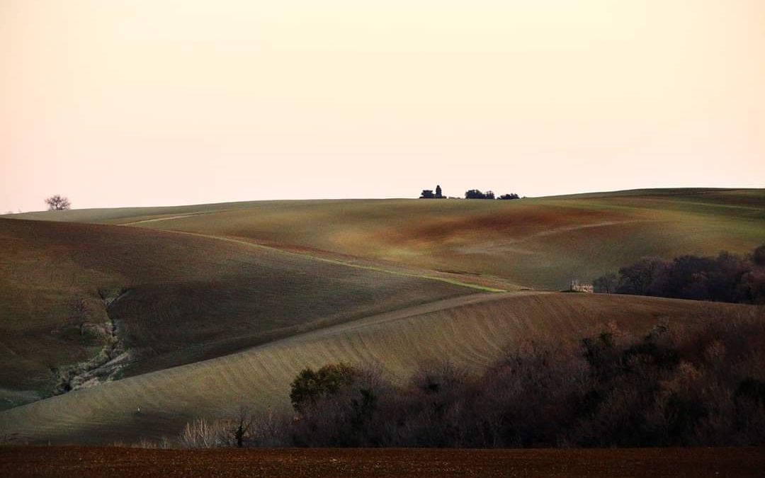 Tuscania non si Tocca!