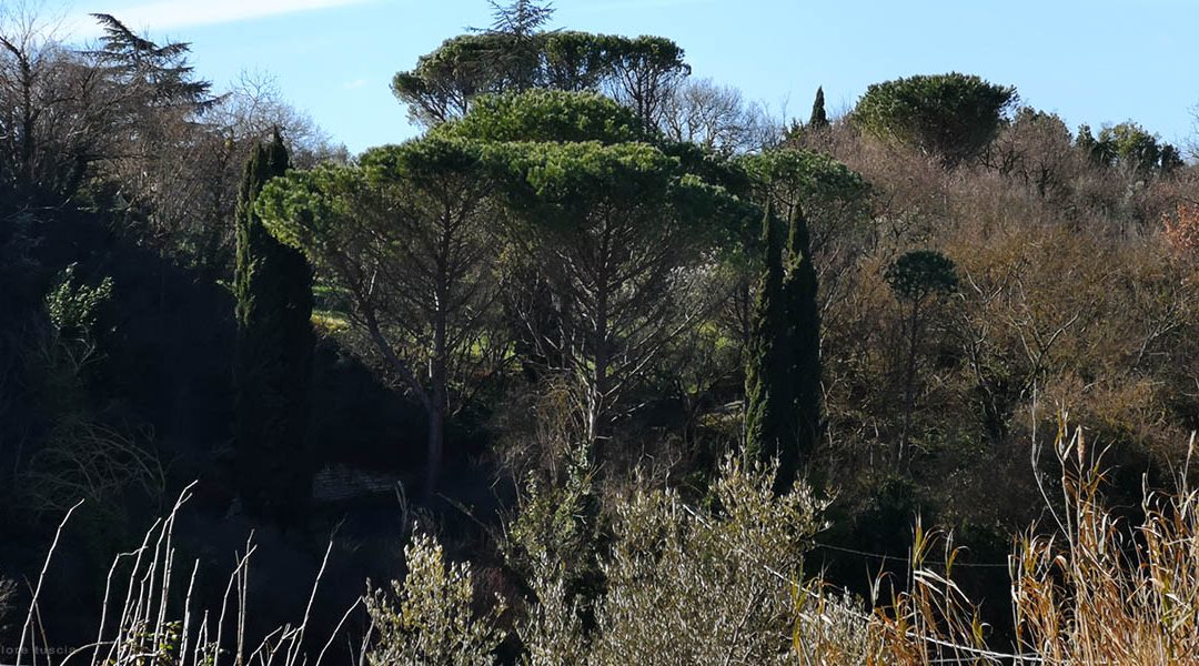 Al “Naturale”