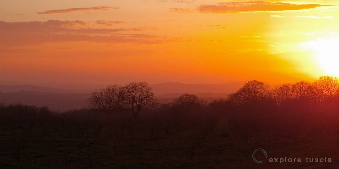 Tramonto della Democrazia in Occidente