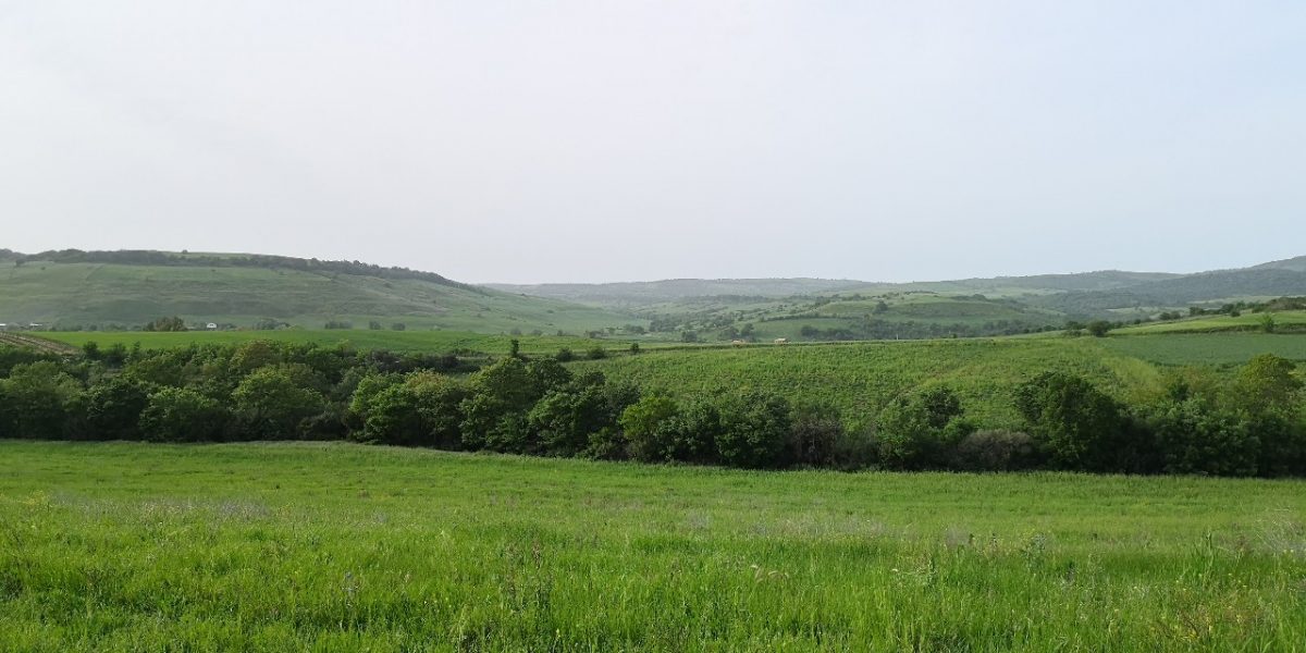 Valle del Mignone Superstrada