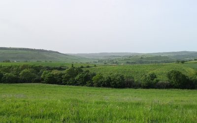 Valle del Mignone – Superstrada (proprio) in Mezzo 3.0!