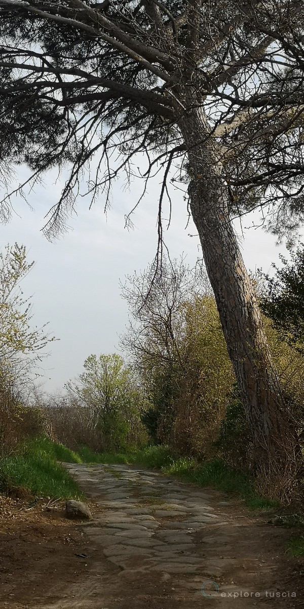Basolato Cassia