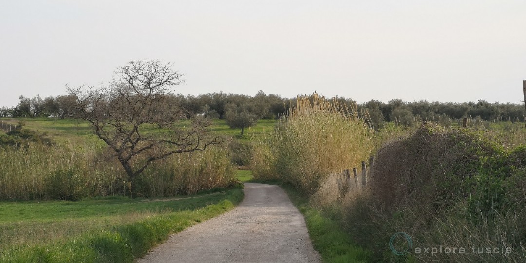 Strade delle terme