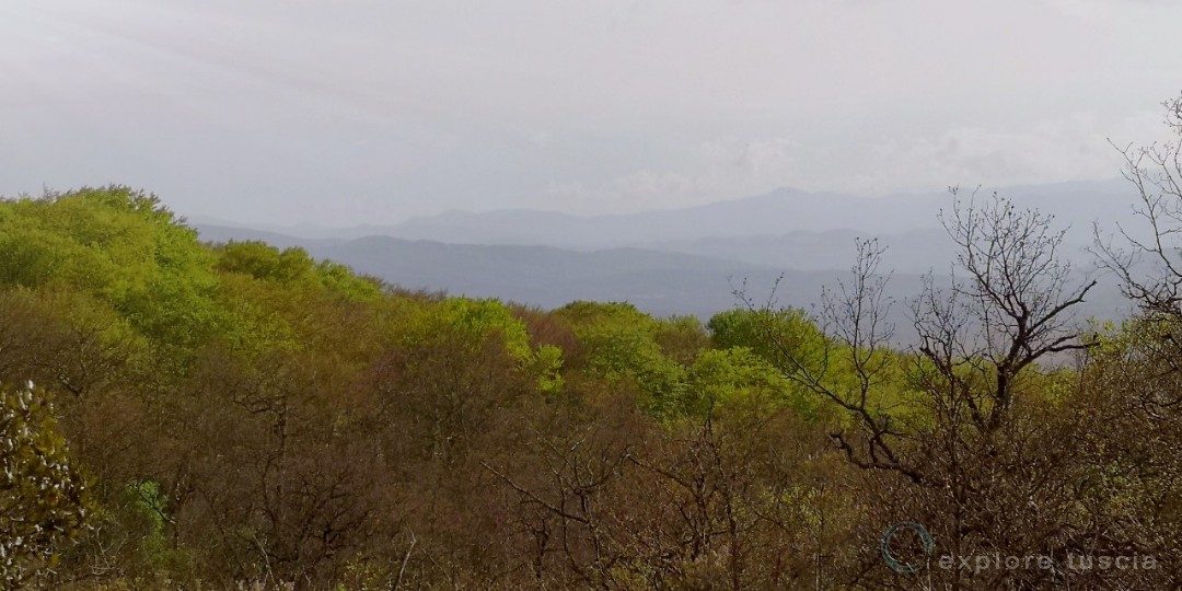 Selva Cimina – Tolfa in lontananza