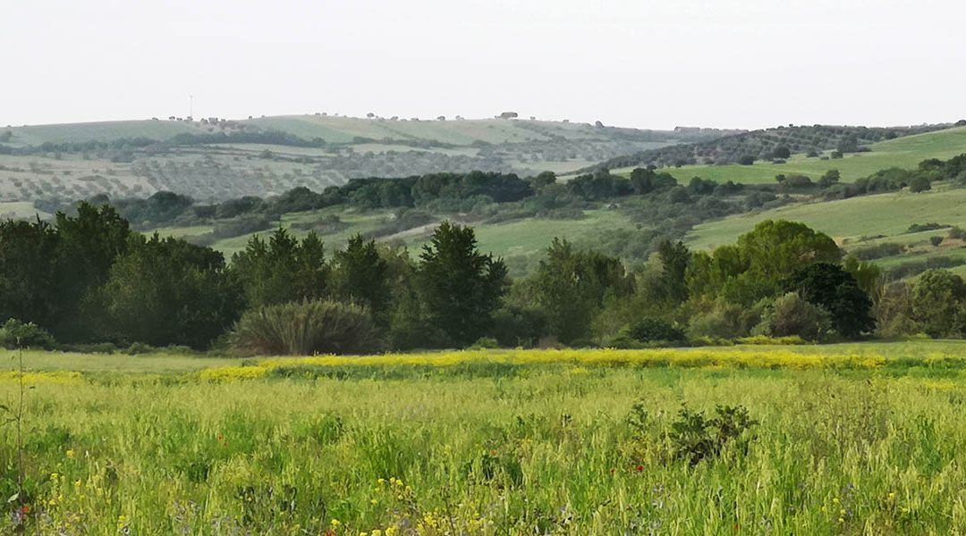 Valle del Mignone – Superstrada in Mezzo 4.0