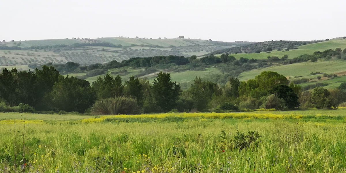 valle-del-mignone-ss675