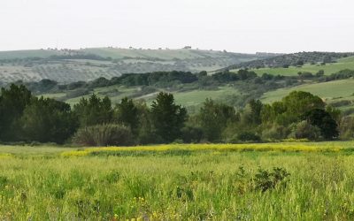 Valle del Mignone – Superstrada in Mezzo 4.0